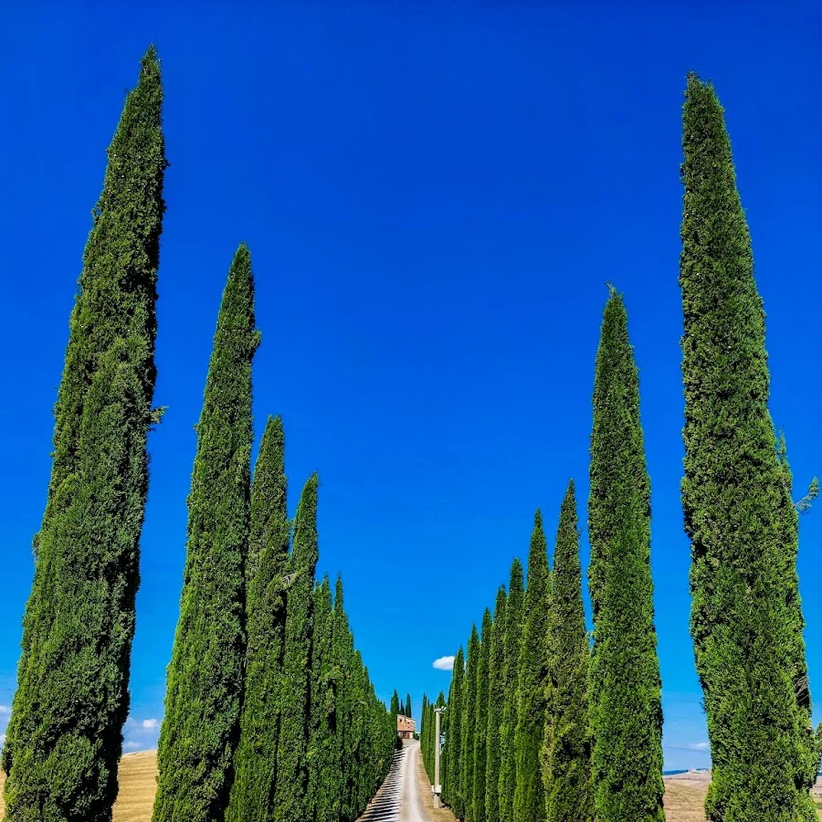 43°01'18.9"N 11°38'12.5"E