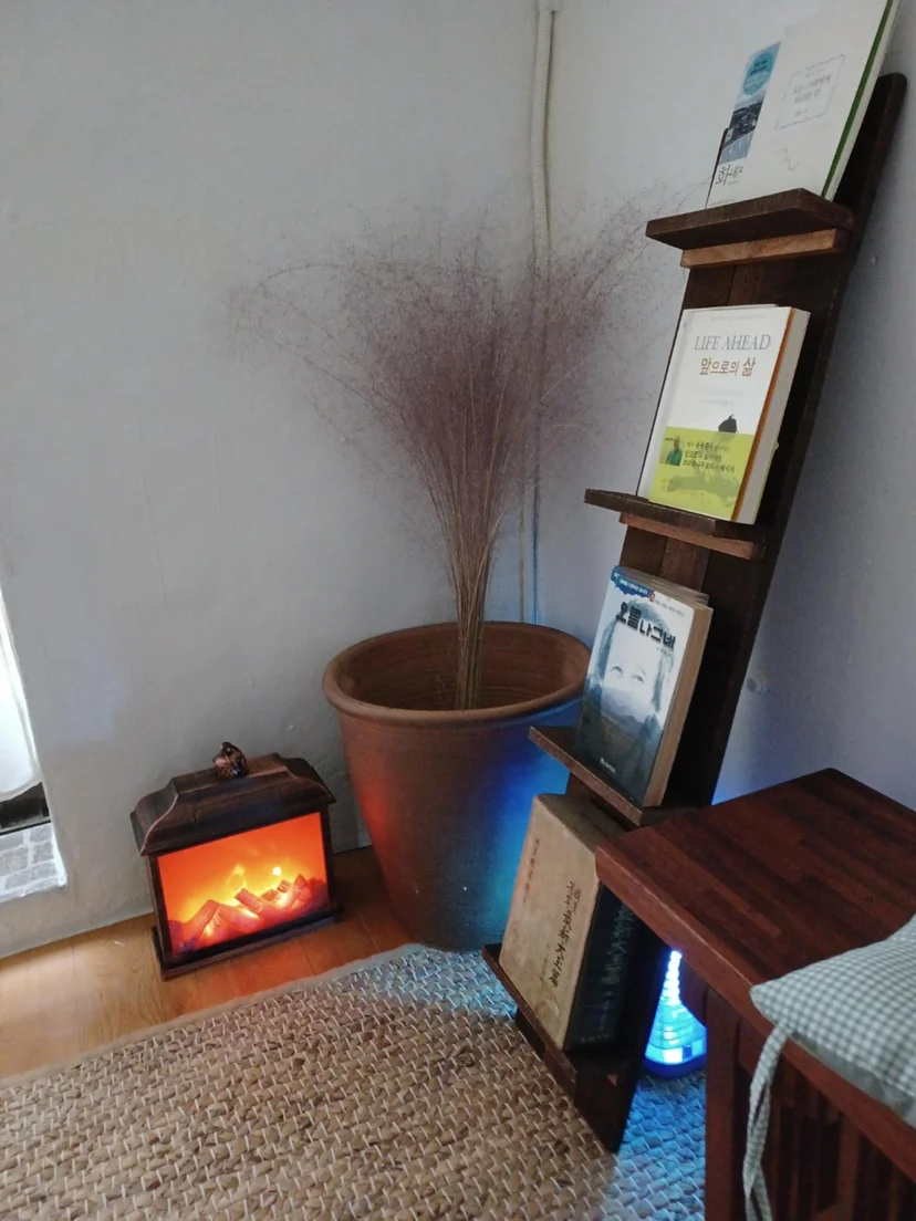 Cozy interior corner with a terracotta planter of dried pampas grass, an LED lantern, and a wooden book display (Listing ID : 1954)