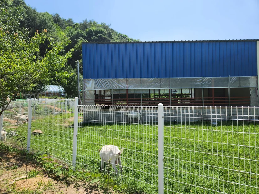 평창 한옥 독채 전경 2