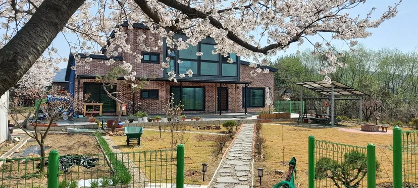 벚꽃 핀 마당과 적벽돌 2층 주택 전경