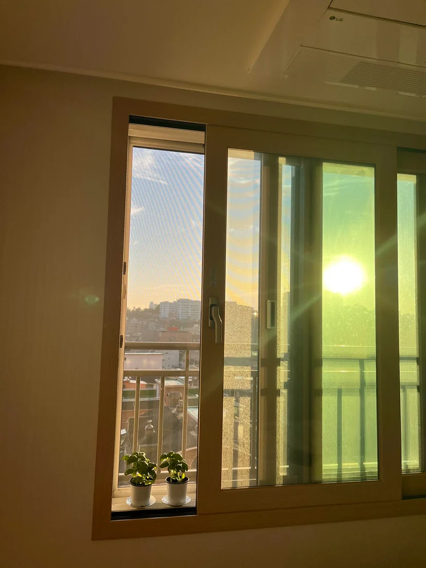 Room window with potted plants on the sill and afternoon sun coming through (Listing ID : 11764)