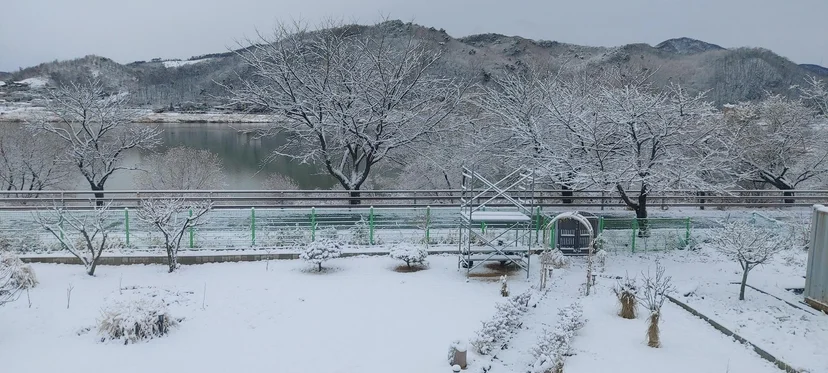 눈 덮인 마당과 강 건너 설산 풍경