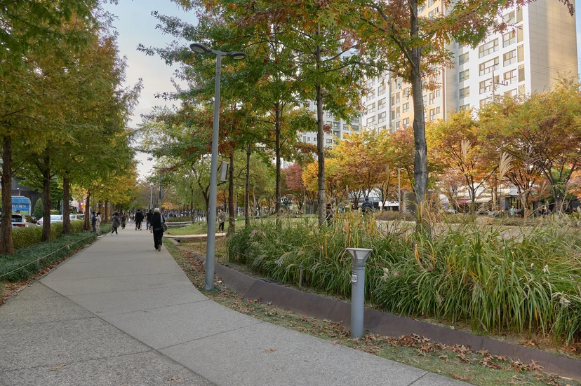 Tree-lined walkway with autumn leaves near apartment towers (Listing ID : 32541)