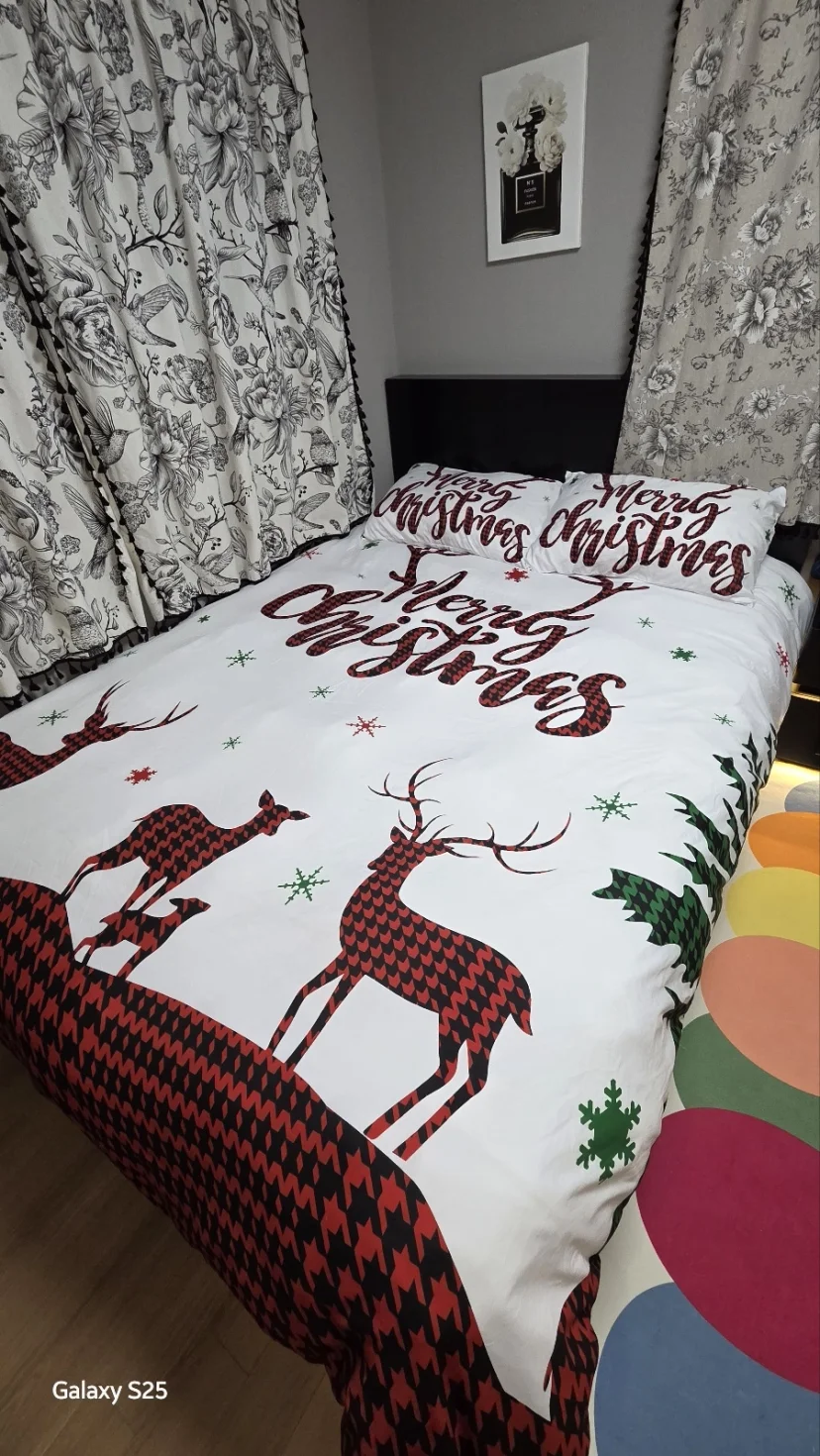 Bedroom with double bed dressed in Christmas-themed bedding (Listing ID : 30308)