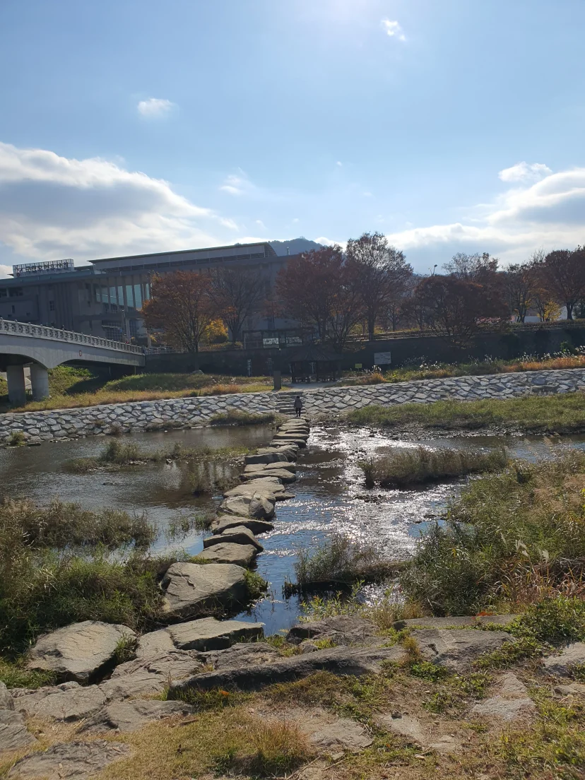 Stepping stones across the stream near the property (Listing ID : 43566)
