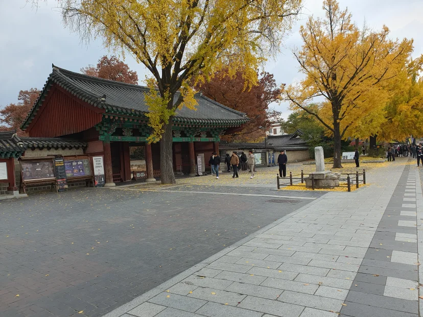 Traditional gate and ginkgo trees at a nearby plaza (Listing ID : 43566)