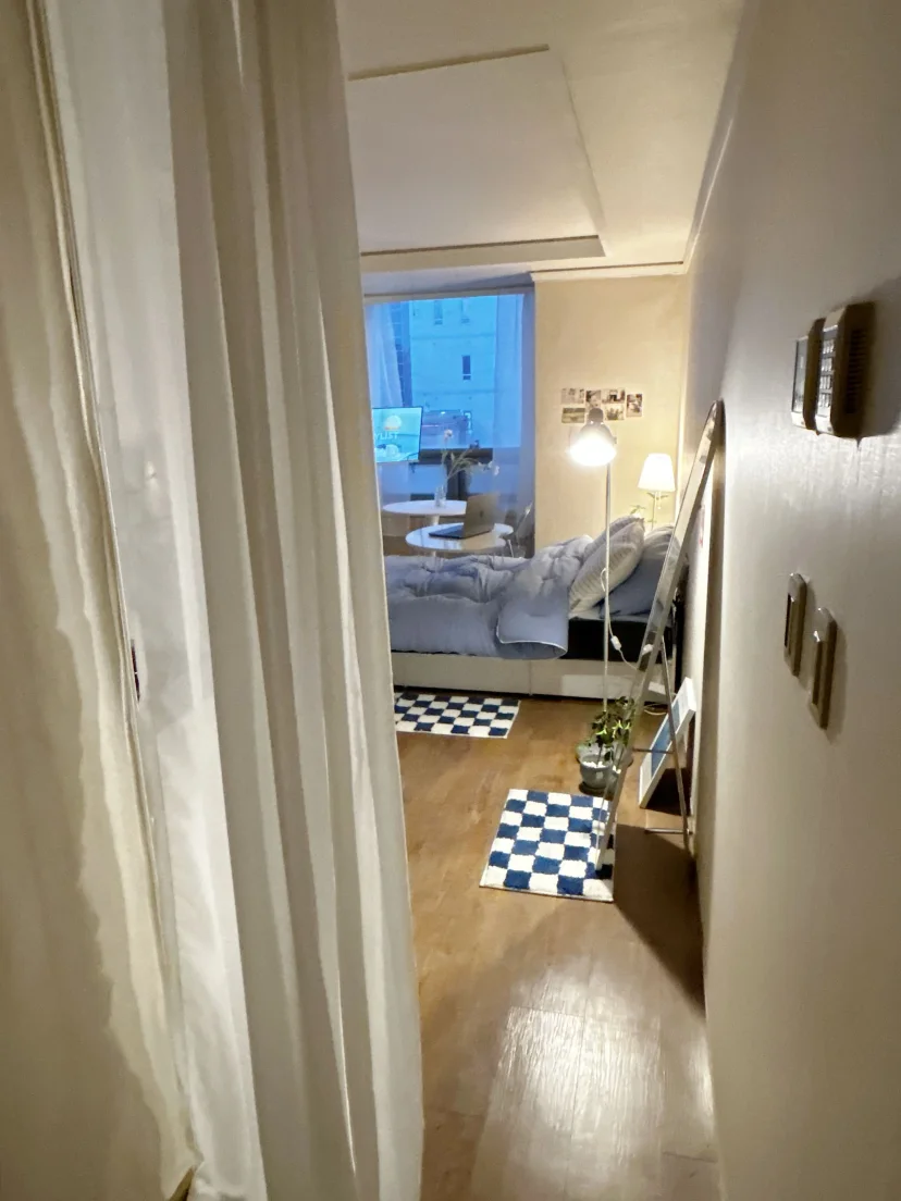 View from the entrance into the studio toward the window (Listing ID : 45640)