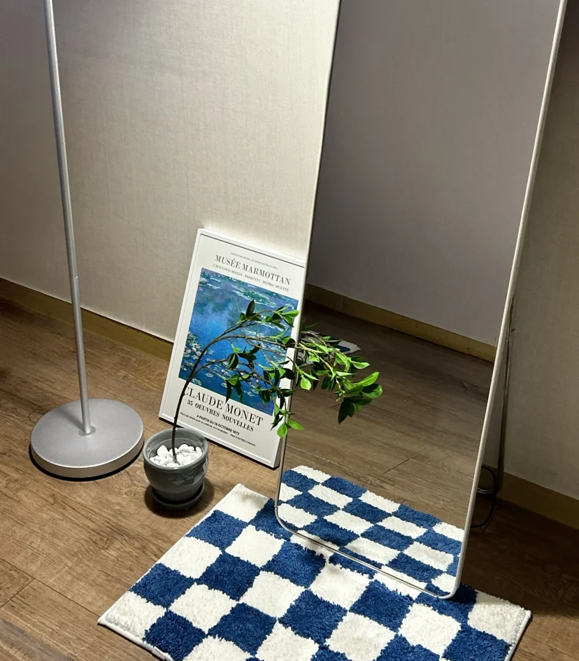 Floor lamp, potted plant and art print by a standing mirror (Listing ID : 45640)