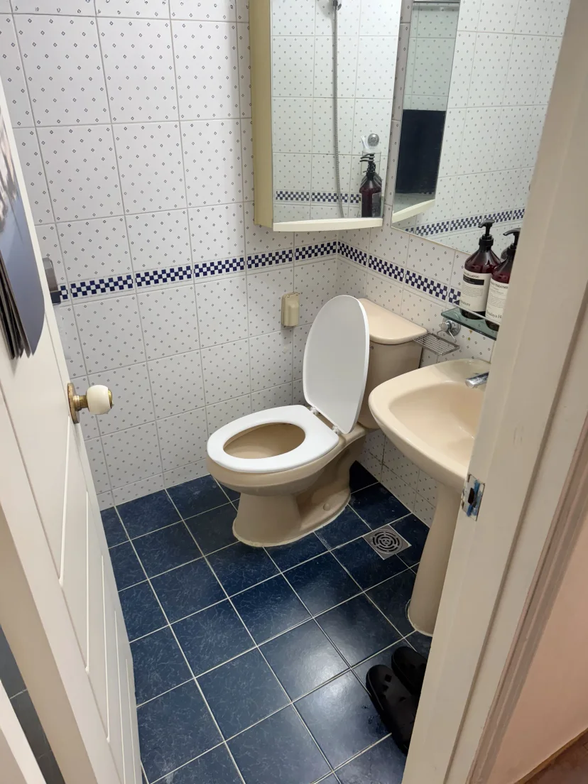 Bathroom with toilet, sink and mirrored cabinet (Listing ID : 45640)