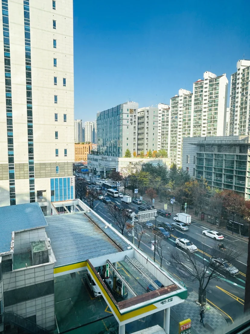 Tree-lined avenue and apartment blocks seen from the window (Listing ID : 45640)