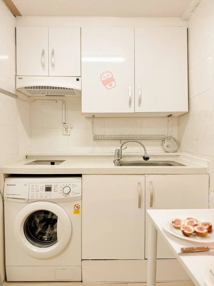 Compact kitchenette with induction cooktop and washing machine (Listing ID : 43555)