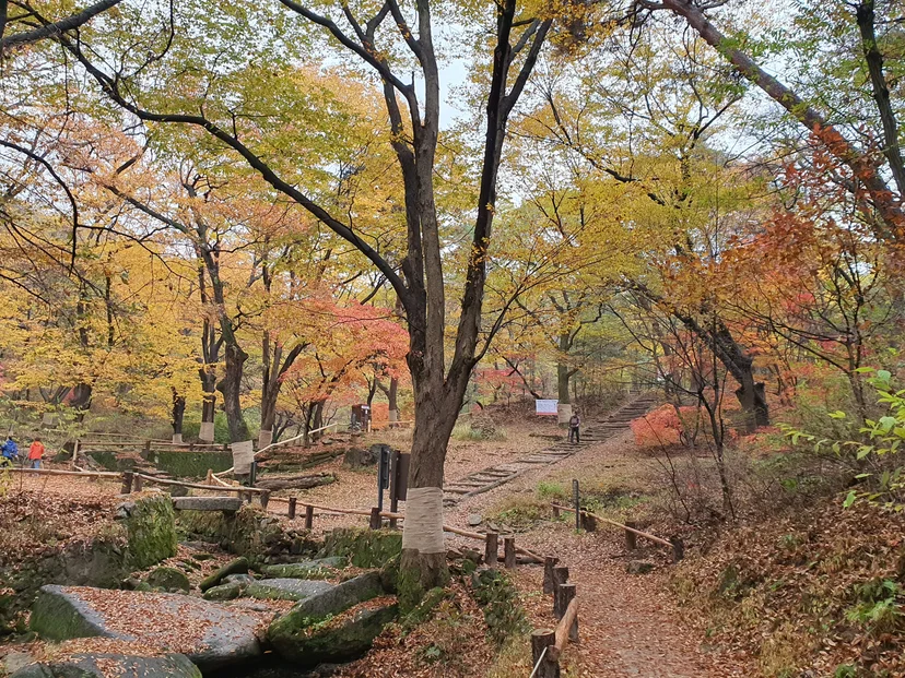 Nearby forest trail with wooden fences and autumn foliage (Listing ID : 40873)
