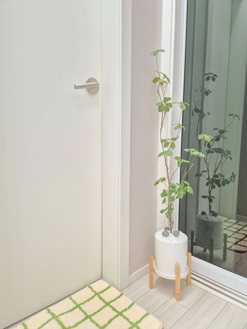Entryway with white door, potted plant and checkered mat (Listing ID : 36403)