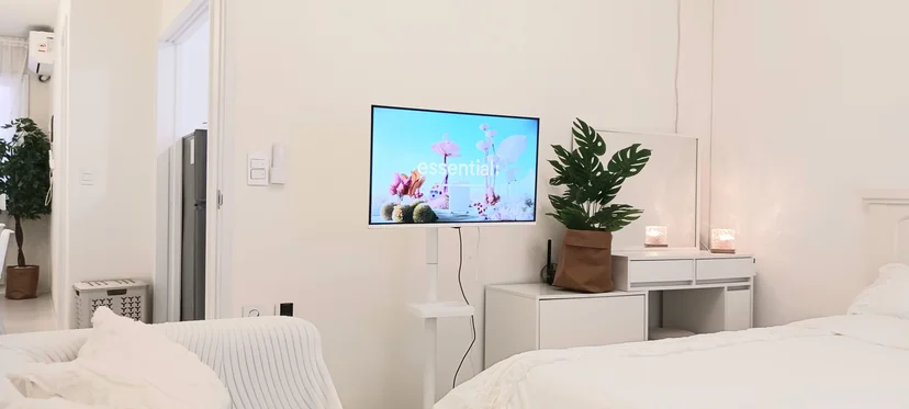 Light-filled room with two beds, a TV, and a green plant (Listing ID : 29514)