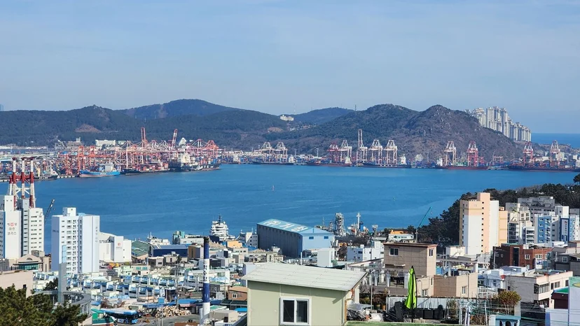 Elevated view over Yeongdo rooftops to Busan Port cranes and the bay (Listing ID : 37856)