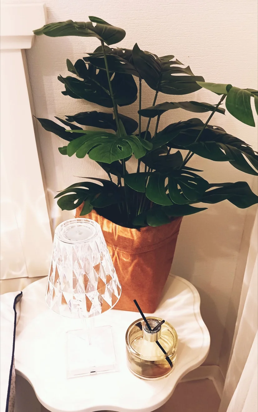 Corner side table with a leafy monstera, crystal lamp, and reed diffuser (Listing ID : 29514)