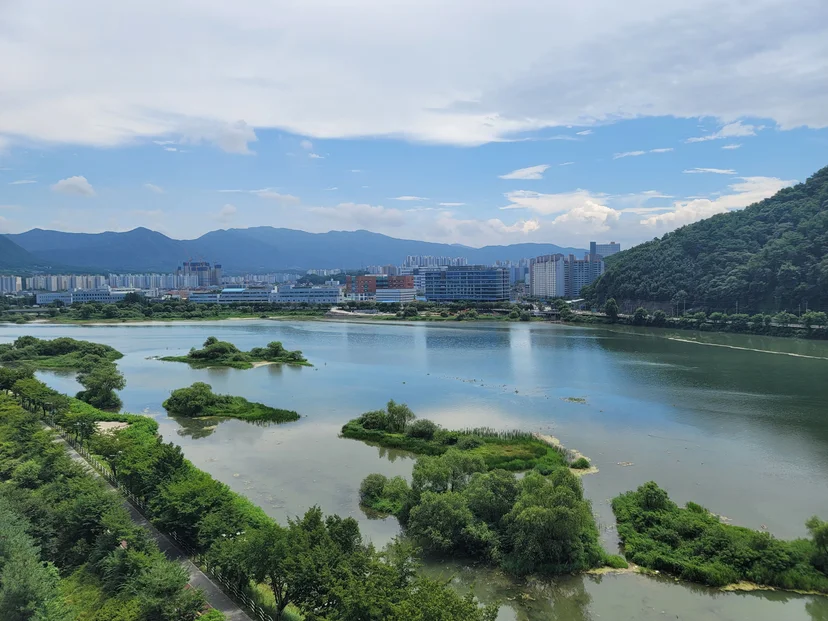 Elevated view of the river with green islets and city skyline (Listing ID : 37518)