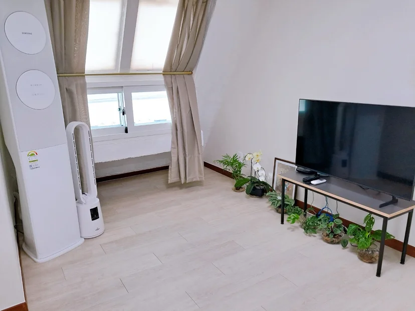 Living room with a TV and potted plants (House no. : 36619)