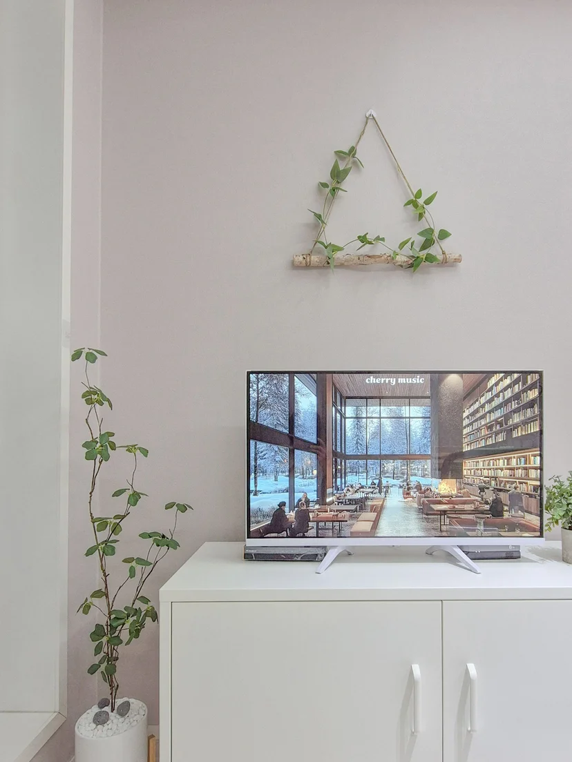 Living area with TV on a white cabinet and hanging plant decor (Listing ID : 36403)