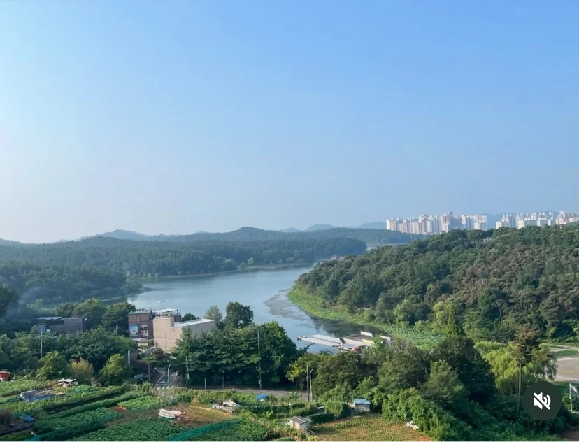 군산 단기임대 레이스 커튼 원형 식탁 다이닝 공간