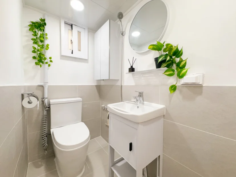 Bathroom with toilet, basin, mirror and hanging plants (Listing ID : 47877)