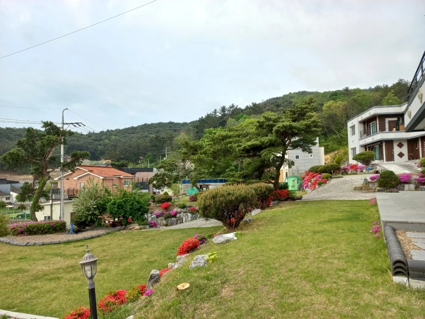 대문과 정원 사이 산책로가 있는 경주 독채 마당 전경