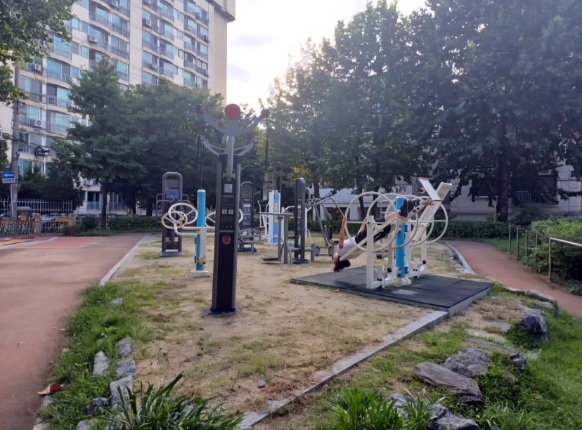 Outdoor exercise equipment in the neighbourhood park (Listing ID : 47877)