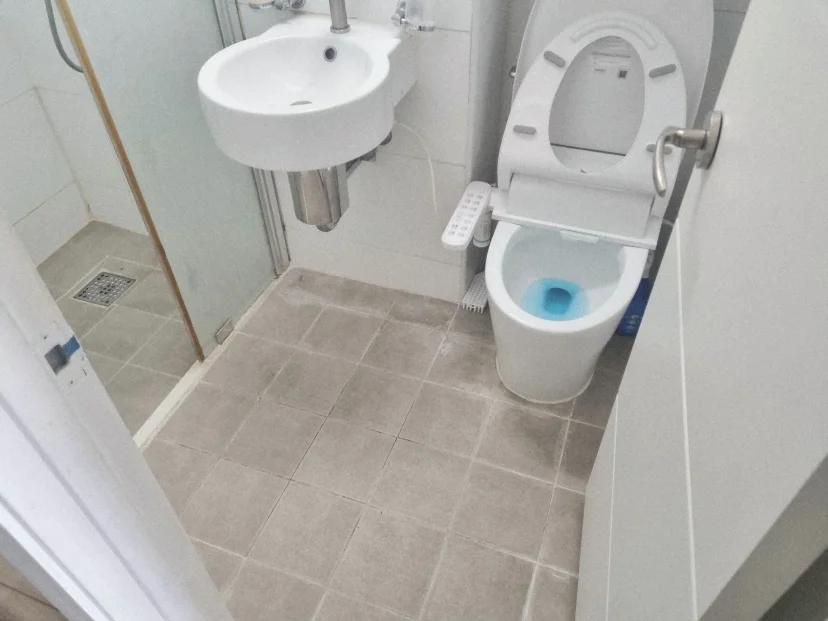 Compact bathroom with bidet toilet and glass shower (Listing ID : 44519)
