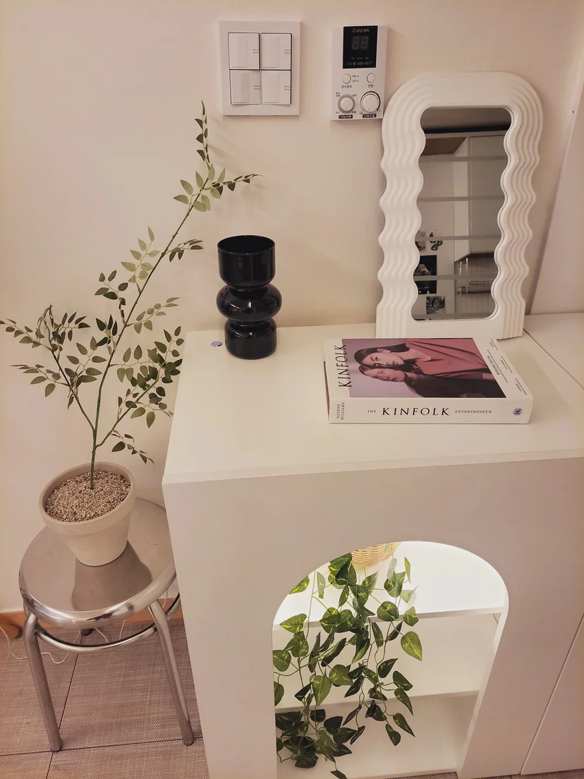 Styled entry console with a mirror, plants, and smart switches (집 번호 : 7997)
