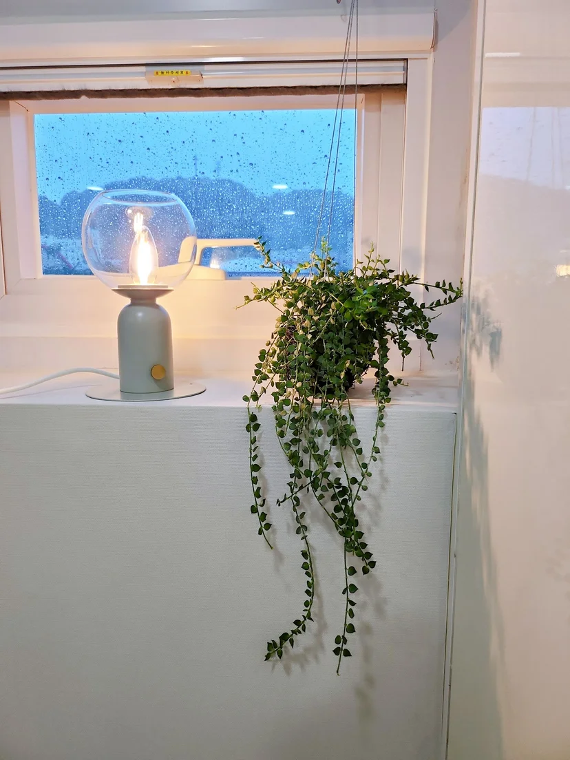 Bedside lamp and a hanging plant on a rainy windowsill (Listing ID : 27331)