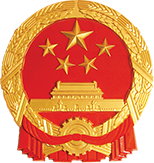 入境卡填报