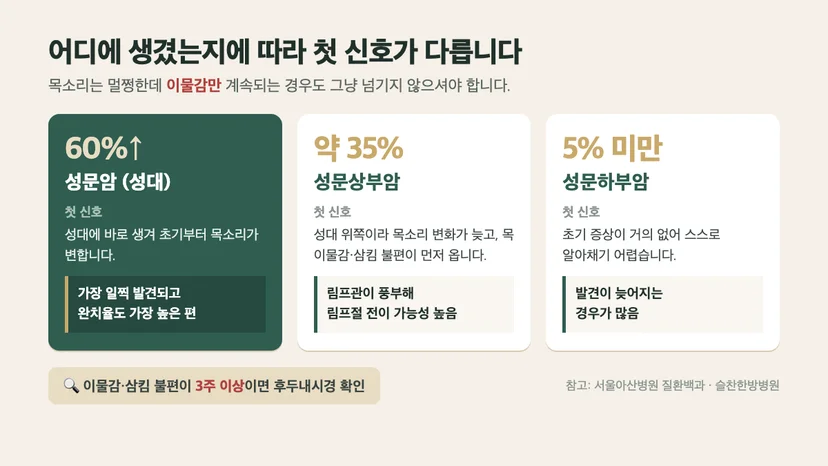 후두 부위별 분류 — 성문암 60% 이상, 성문상부암 약 35%, 성문하부암 5% 미만과 각각의 첫 신호