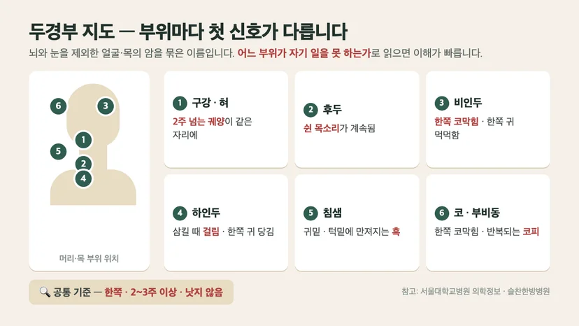 두경부암 부위별 첫 신호 6가지