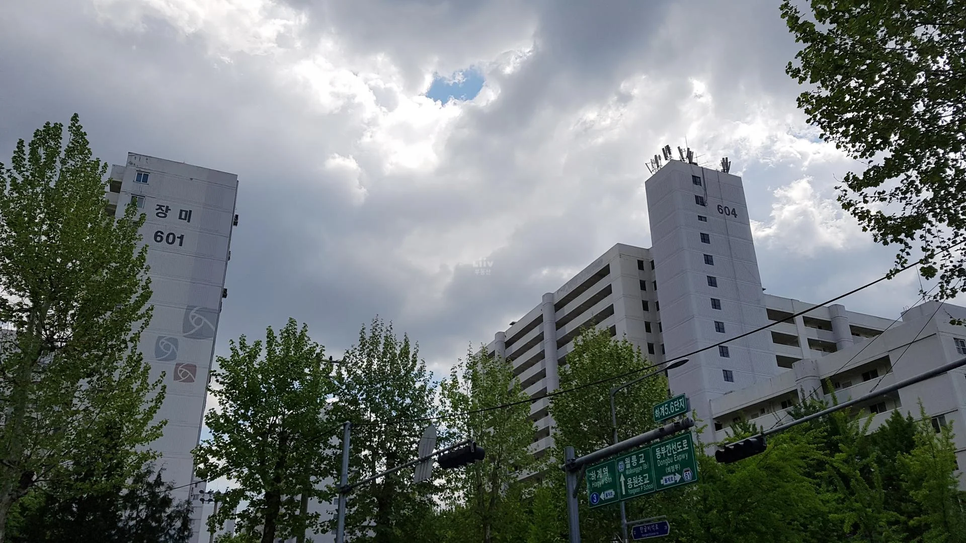 장미 아파트 건물 외관
