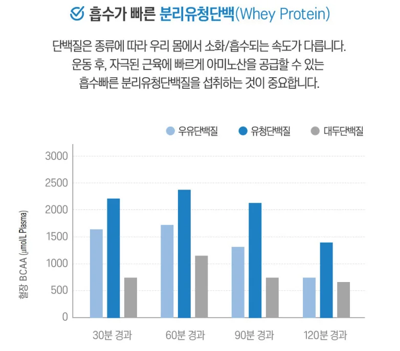 단백질 종류별 체내 흡수 속도 그래프