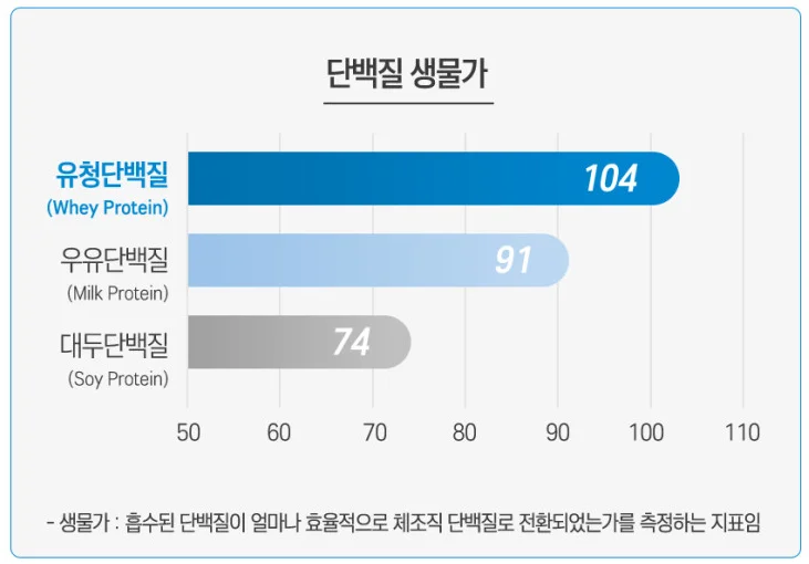 단백질 종류에 따른 단백질 생물가 도표