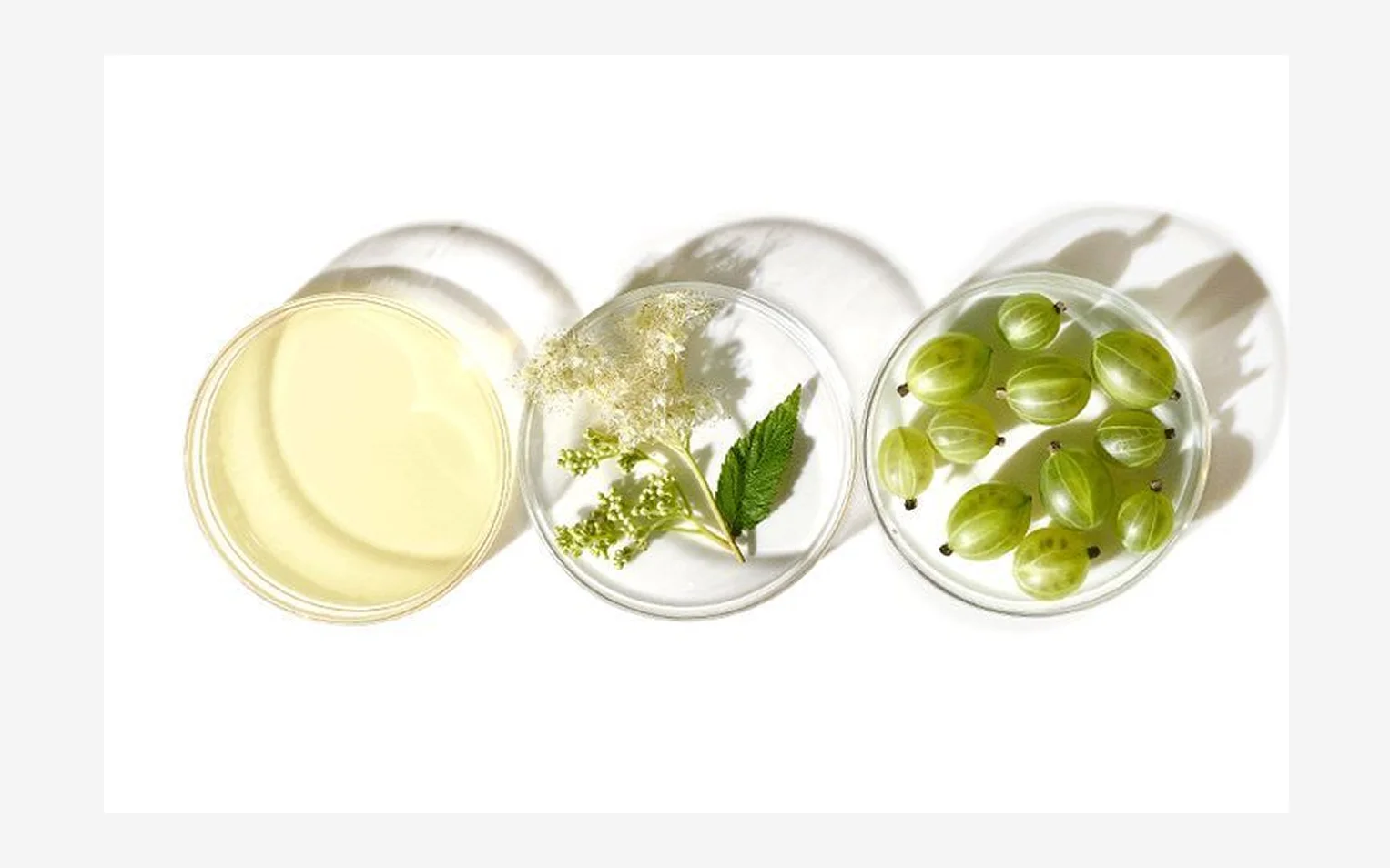 스키니피케이션 트렌드