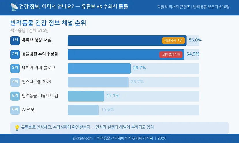 반려동물 건강 정보 채널 순위 데이터