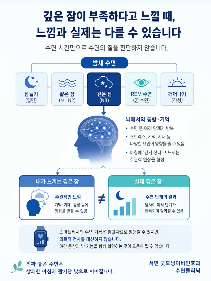 밤 동안 여러 수면단계가 반복되는 과정을 설명한 이미지