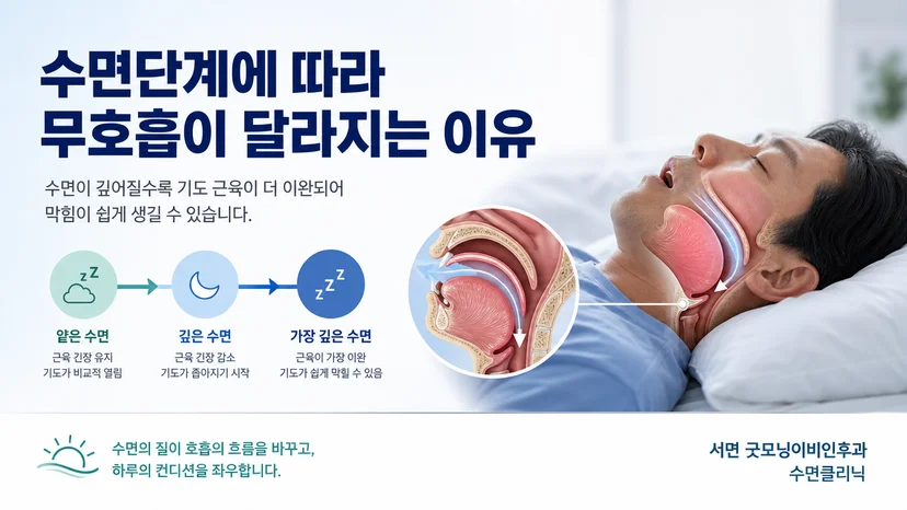 수면단계에 따라 상기도 근육 긴장과 무호흡 양상이 달라지는 원리