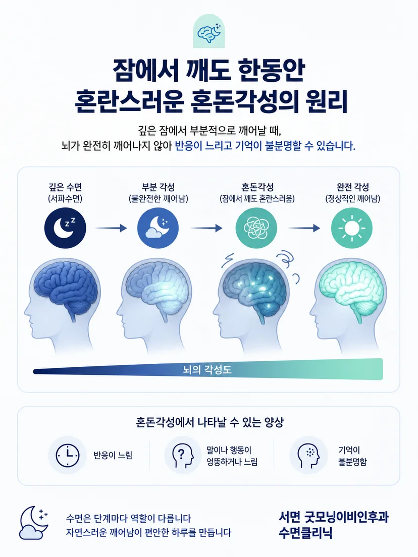 깊은 수면에서 완전한 각성으로 넘어가는 과정과 부분 각성을 설명하는 그림