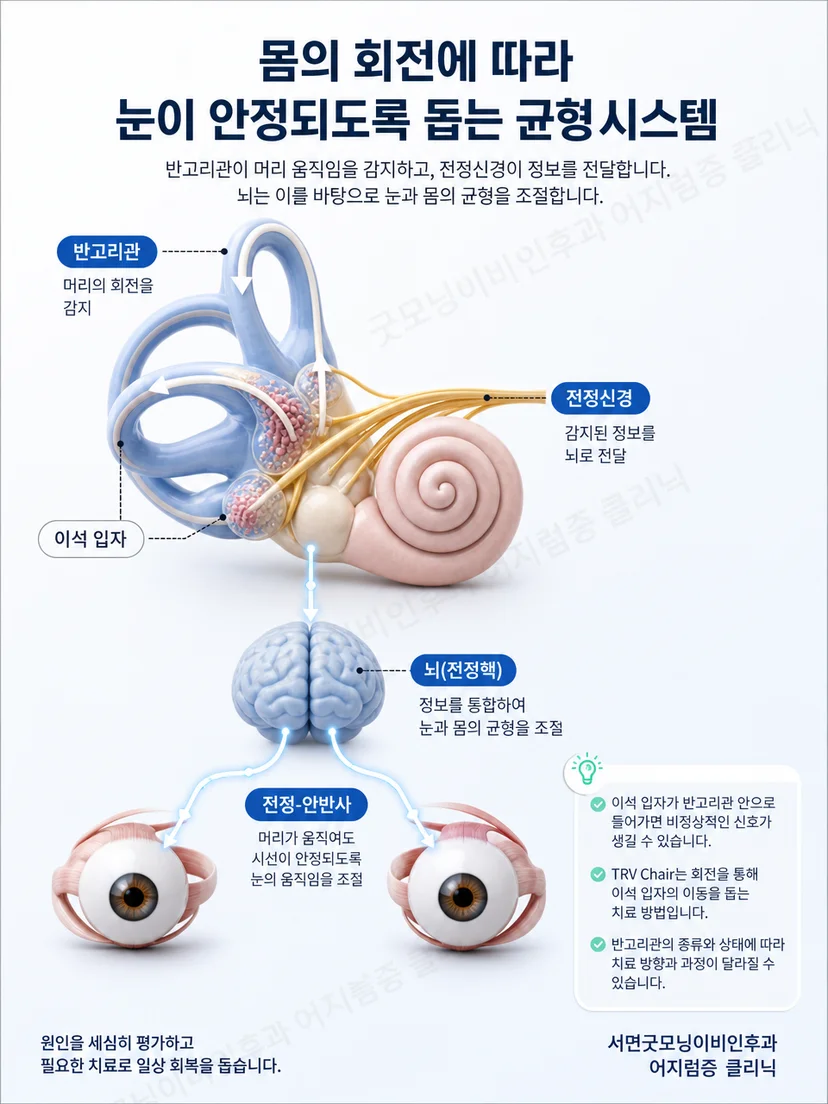 반고리관 위치에 따라 자세와 안진 양상이 달라지는 원리