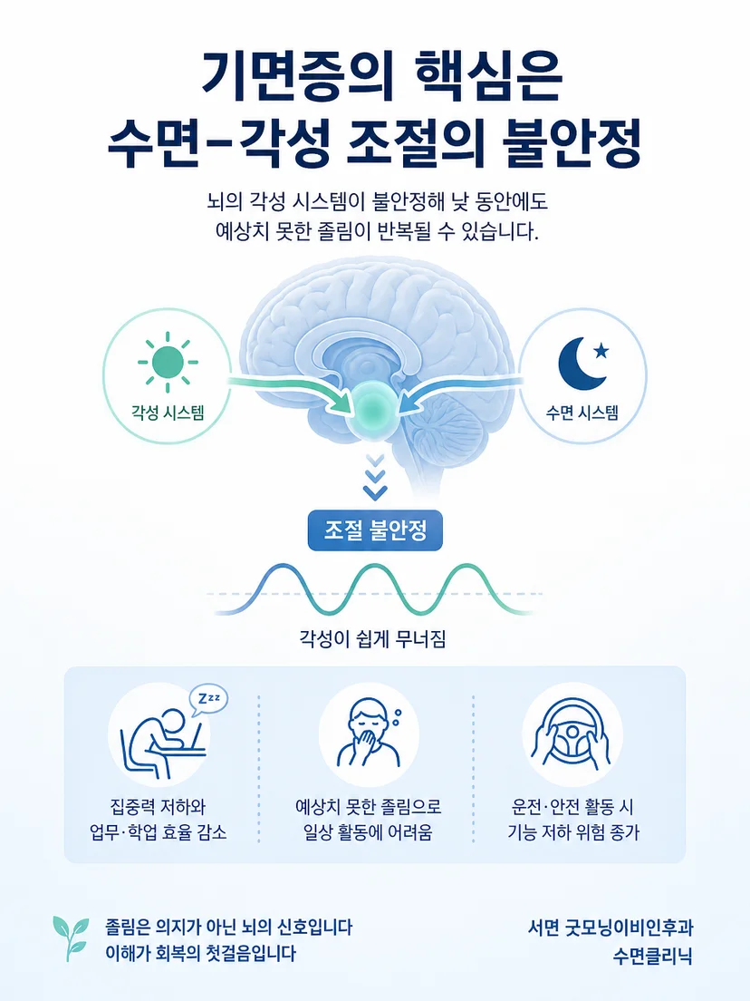 기면증에서 수면과 각성 조절이 불안정해지는 개념 설명 이미지