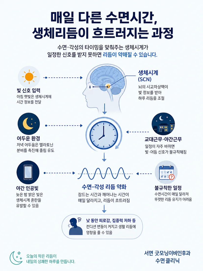 시계와 햇빛, 어두운 밤 환경, 근무시간이 생체리듬에 미치는 영향을 설명하는 이미지