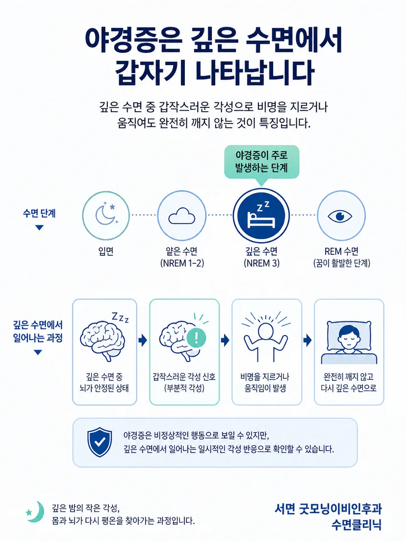 깊은 수면과 꿈 수면에서 나타나는 행동 차이 도식