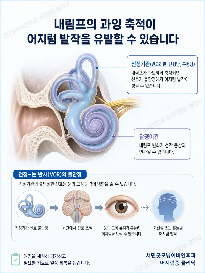 내이의 청각과 평형 기능 및 내림프 변화 개념 설명