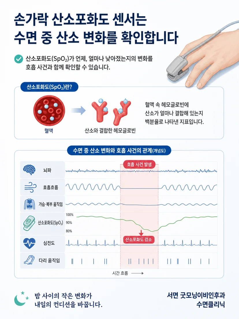 손가락 센서가 수면 중 산소포화도 변화를 기록하는 원리 설명 이미지