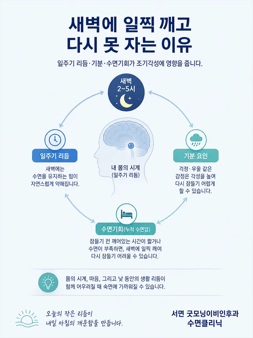 일주기 리듬과 수면 시간대의 관계를 설명하는 이미지