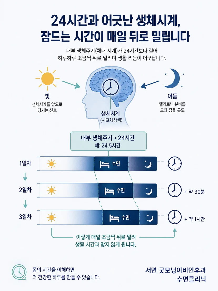 햇빛과 어둠이 내부 생체시계에 시간 신호를 주는 원리