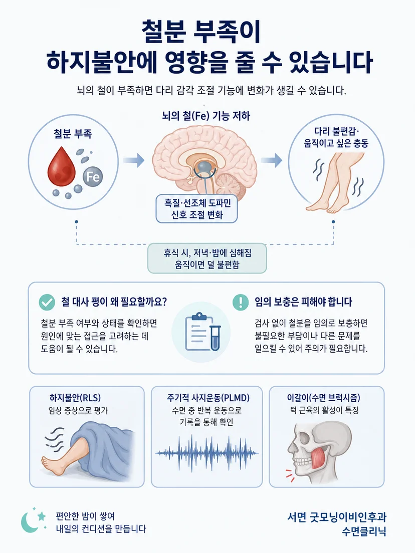 철 대사와 다리 감각 및 움직임 조절의 관계를 설명하는 이미지